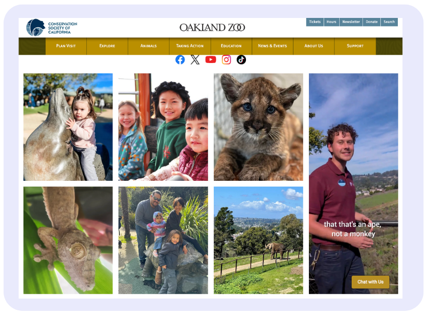 This image features a webpage from the Oakland Zoo showcasing various images of children interacting with animals, animal close-ups, and a zoo employee, promoting engagement and education about wildlife conservation.