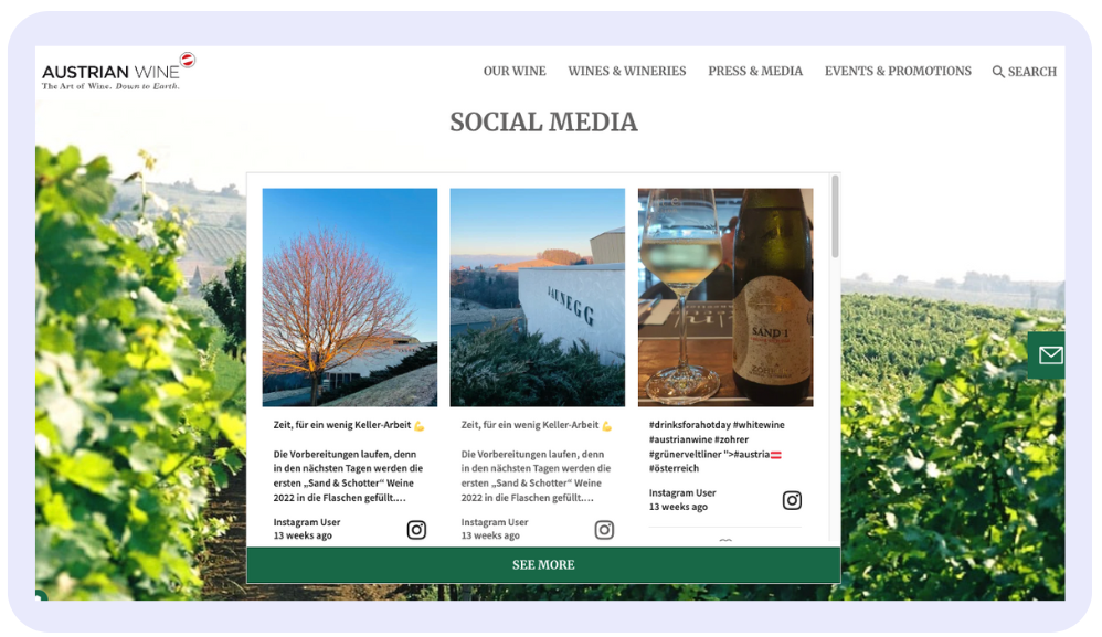 This image displays the social media section with an Instagram widget for websites of the Austrian Wine brand, with serene photos of vineyards, wines, and promotional tags, emphasizing the appeal and quality of Austrian wine.